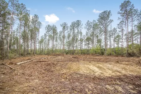 3163 Reeves Rd, Ruth, MS 39662 photo 5