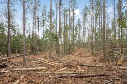 3163 Reeves Rd, Ruth, MS 39662 photo 10