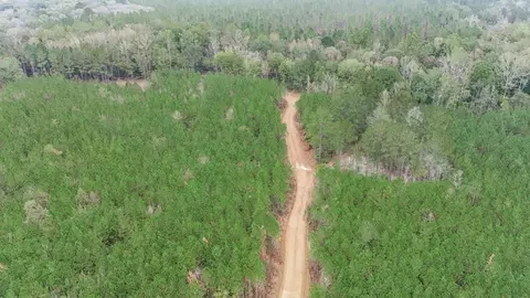 3163 Reeves Rd, Ruth, MS 39662 photo 15