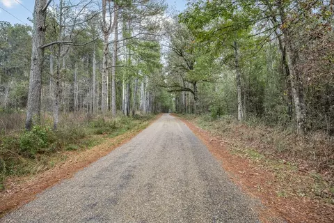 3163 Reeves Rd, Ruth, MS 39662 photo 3