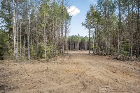 6037 Highway 33, Roxie, MS 39661 photo 8