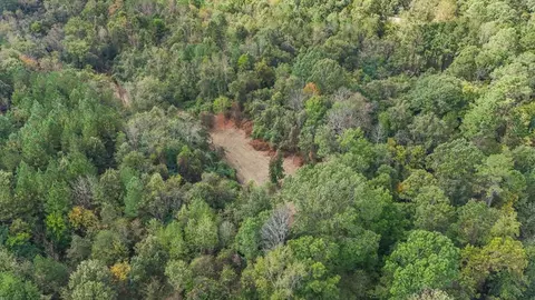 6037 Highway 33, Roxie, MS 39661 photo 37