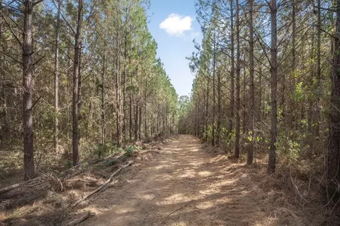 6037 Highway 33, Roxie, MS 39661 photo 19