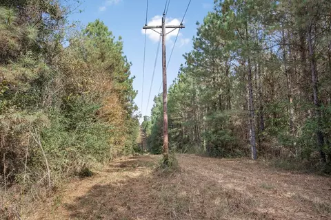 6037 Highway 33, Roxie, MS 39661 photo 9