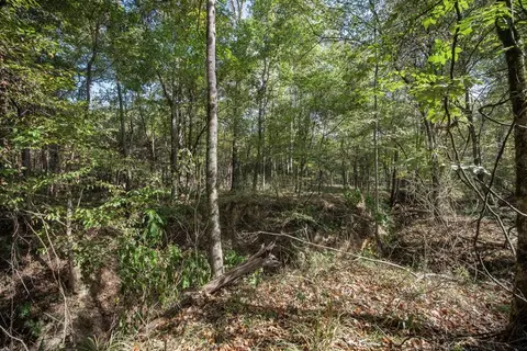 6037 Highway 33, Roxie, MS 39661 photo 5