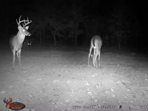 6037 Highway 33, Roxie, MS 39661 photo 40