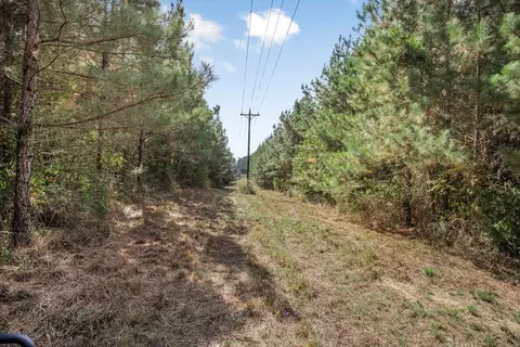 6037 Highway 33, Roxie, MS 39661 photo 21