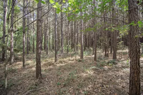 6037 Highway 33, Roxie, MS 39661 photo 16