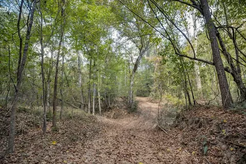 6037 Highway 33, Roxie, MS 39661 photo 17