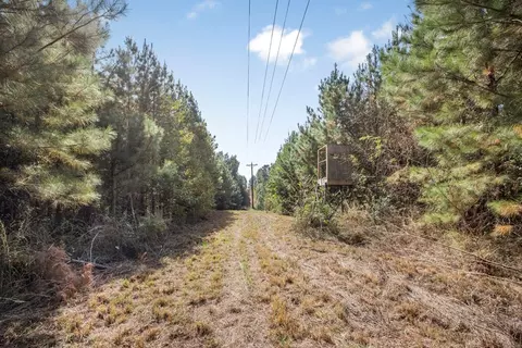 6037 Highway 33, Roxie, MS 39661 photo 22