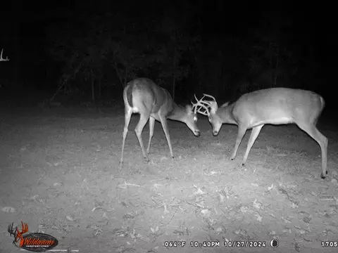 6037 Highway 33, Roxie, MS 39661 photo 42