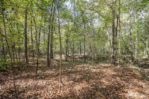 6037 Highway 33, Roxie, MS 39661 photo 14