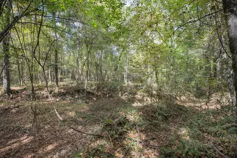 6037 Highway 33, Roxie, MS 39661 photo 15