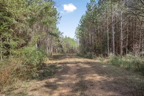 6037 Highway 33, Roxie, MS 39661 photo 30