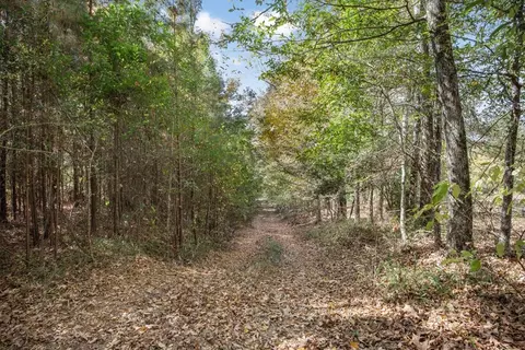 6037 Highway 33, Roxie, MS 39661 photo 23