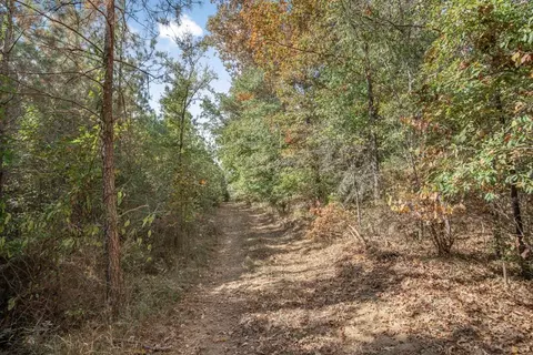 6037 Highway 33, Roxie, MS 39661 photo 20