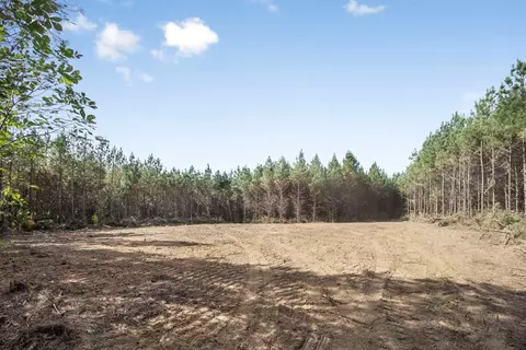 6037 Highway 33, Roxie, MS 39661 photo 18