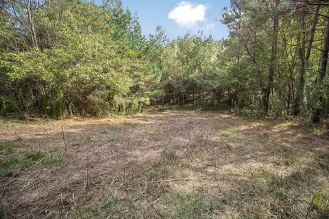 6037 Highway 33, Roxie, MS 39661 photo 3