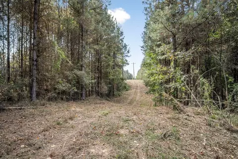 6037 Highway 33, Roxie, MS 39661 photo 10