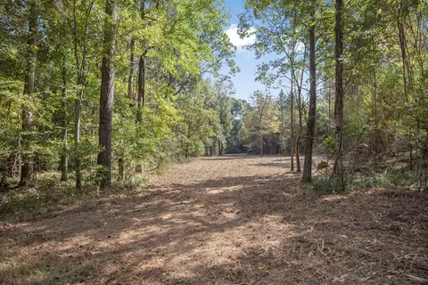 6037 Highway 33, Roxie, MS 39661 photo 11