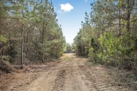 6037 Highway 33, Roxie, MS 39661 photo 24