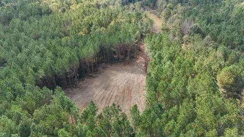 6037 Highway 33, Roxie, MS 39661 photo 33
