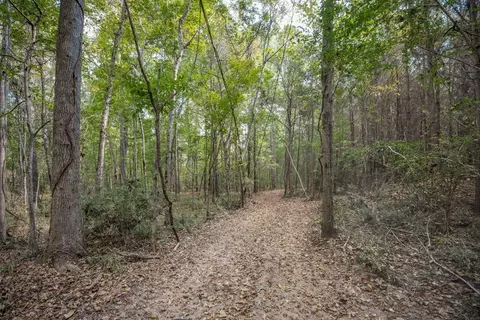 6037 Highway 33, Roxie, MS 39661 photo 13