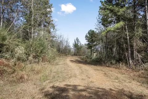 6037 Highway 33, Roxie, MS 39661 photo 2