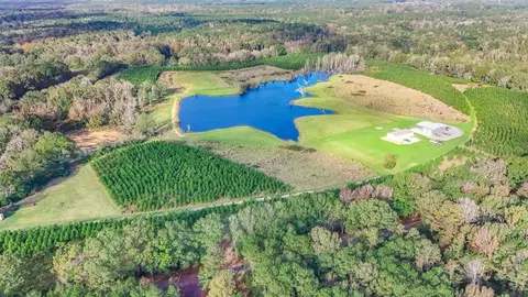 3199 Pepper House Rd, Centreville, MS 39631