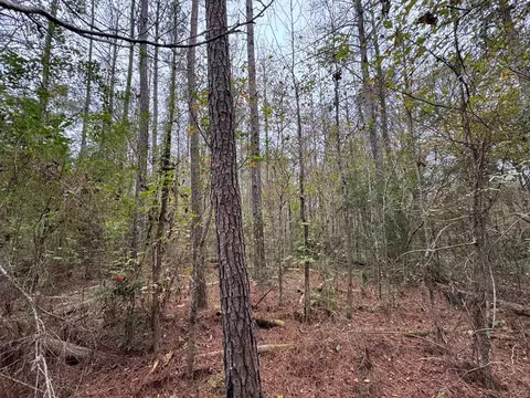 1283 Hwy 583, Brookhaven, MS 39601 photo 7