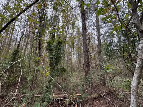 1283 Hwy 583, Brookhaven, MS 39601 photo 8
