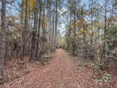 3030 Stegall Rd, Wesson, MS 39191 photo 22