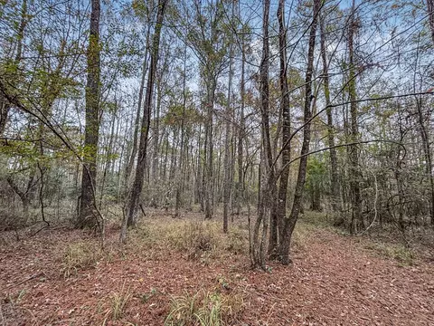 3030 Stegall Rd, Wesson, MS 39191 photo 14