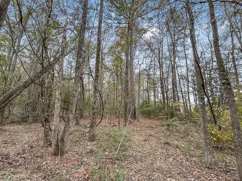 3030 Stegall Rd, Wesson, MS 39191 photo 16