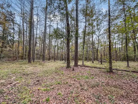 3030 Stegall Rd, Wesson, MS 39191 photo 17