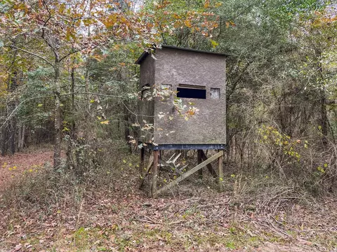 3030 Stegall Rd, Wesson, MS 39191 photo 25