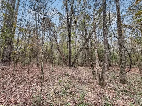 3030 Stegall Rd, Wesson, MS 39191 photo 15