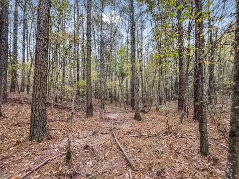 3030 Stegall Rd, Wesson, MS 39191 photo 34
