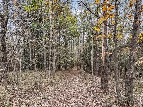 3030 Stegall Rd, Wesson, MS 39191 photo 27