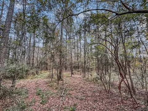 3030 Stegall Rd, Wesson, MS 39191 photo 13