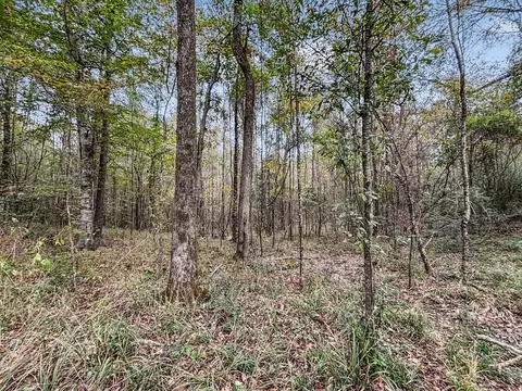 3030 Stegall Rd, Wesson, MS 39191 photo 21