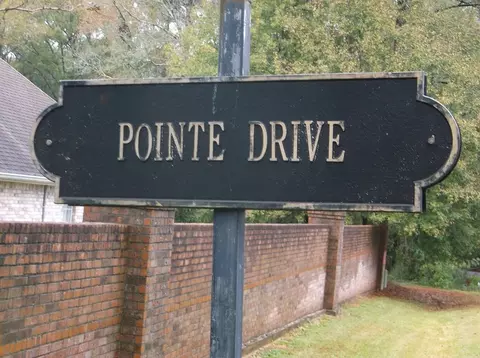 tbd Pointe Dr, Summit, MS 39666 photo 2