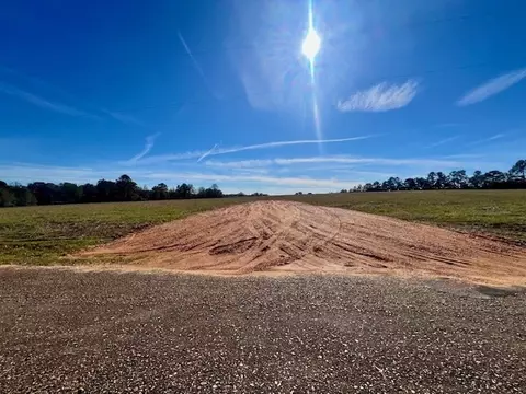 00 Ginn Rd, Tylertown, MS 39667 photo 2