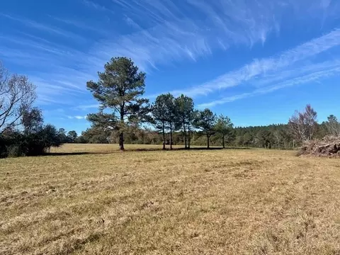00 Ginn Rd, Tylertown, MS 39667 photo 5