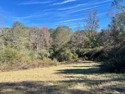 00 Ginn Rd, Tylertown, MS 39667 photo 18