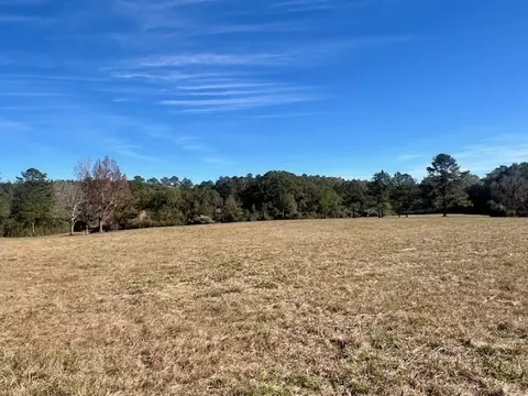 00 Ginn Rd, Tylertown, MS 39667 photo 21