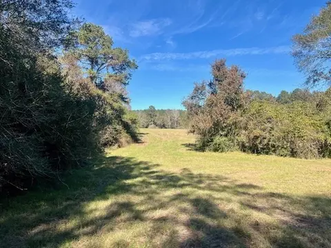 00 Ginn Rd, Tylertown, MS 39667 photo 11