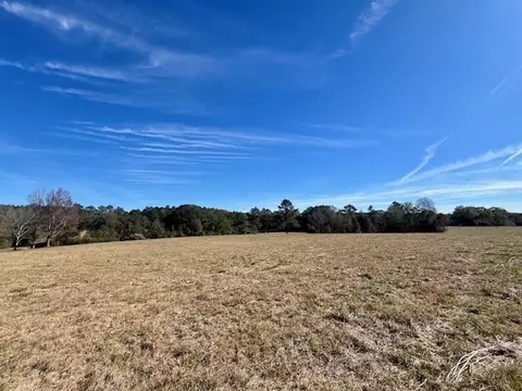 00 Ginn Rd, Tylertown, MS 39667 photo 8