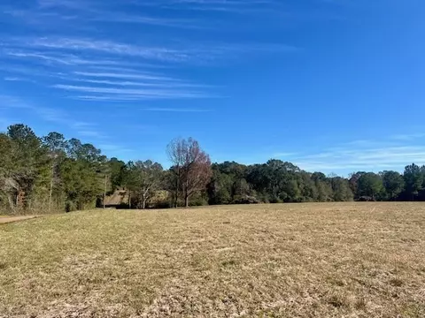 00 Ginn Rd, Tylertown, MS 39667 photo 22