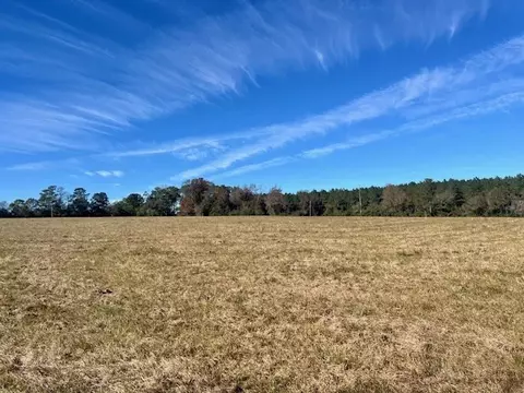 00 Ginn Rd, Tylertown, MS 39667 photo 3